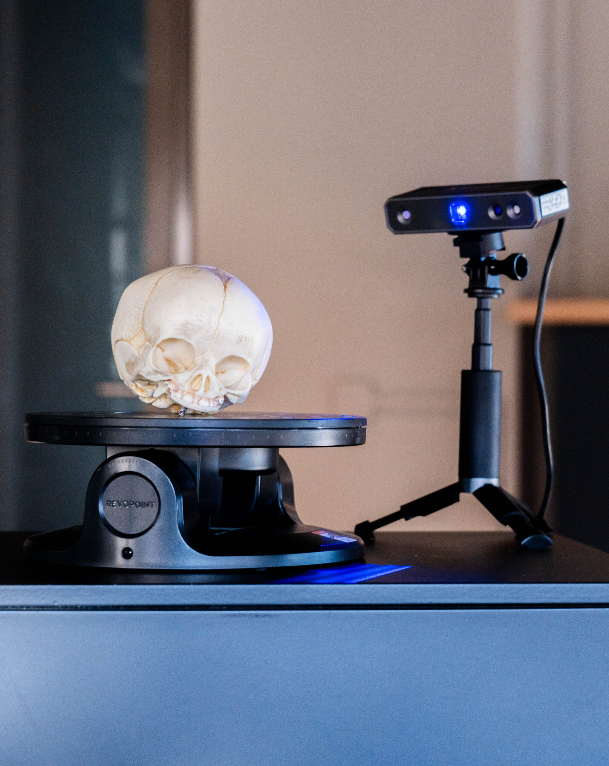3D scanner revopoint scant een schedel-2